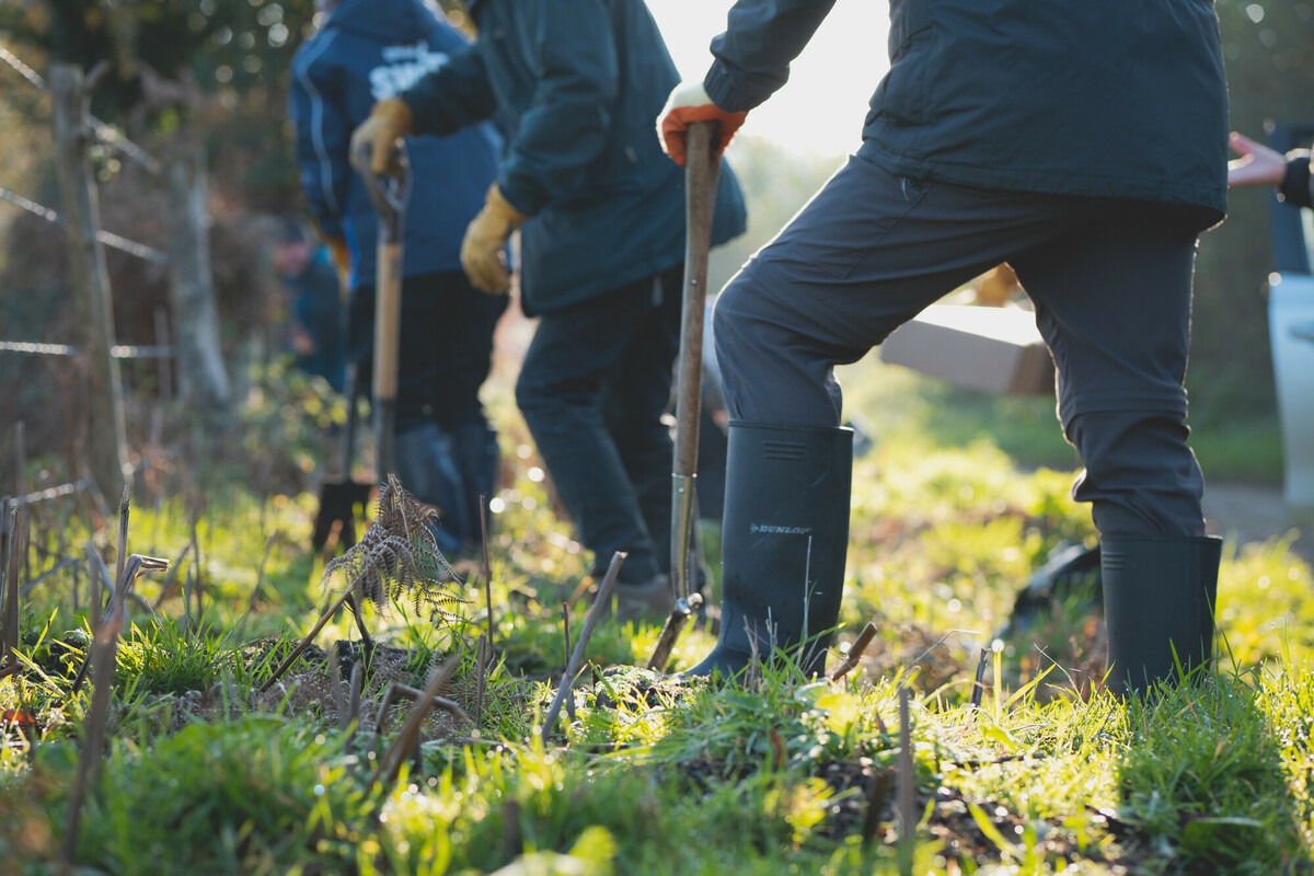 Volunteering - Green Health Hub