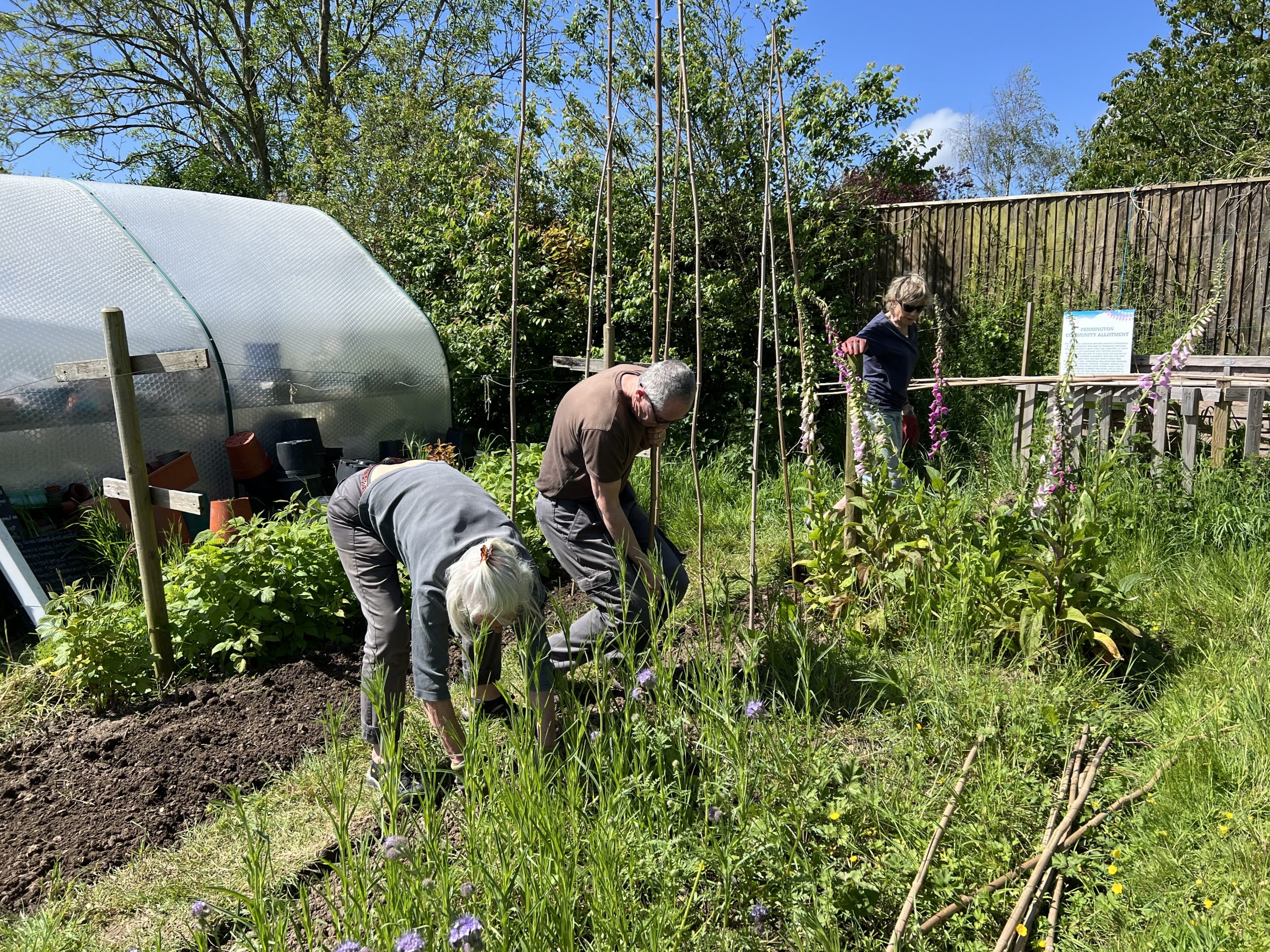 Pennington-Community-Allotment-pic-scaled