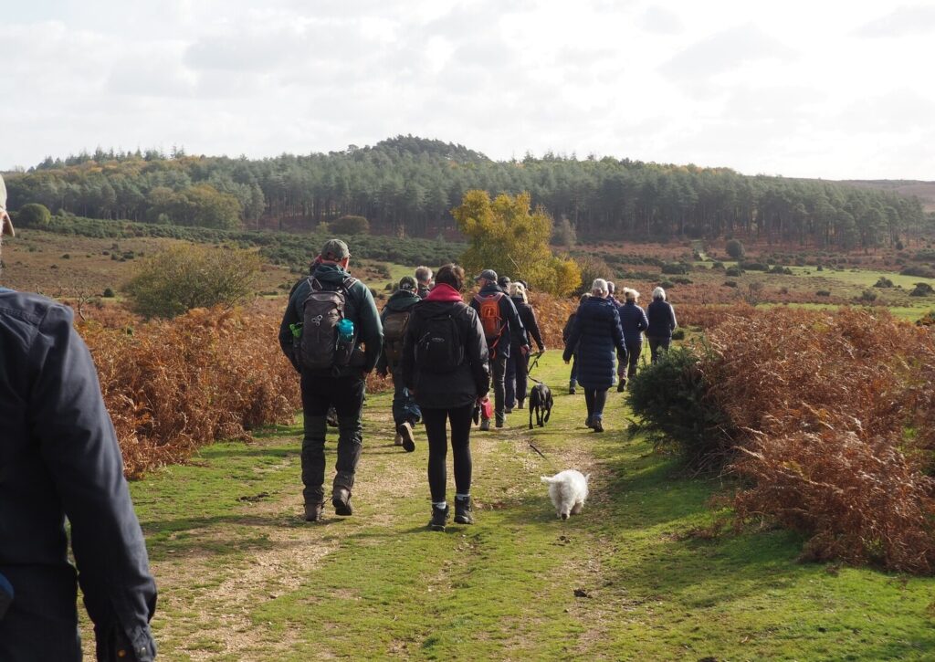 A group of people walk on a grassy track in the New Forest with a dog on a lead. There are trees in the background.