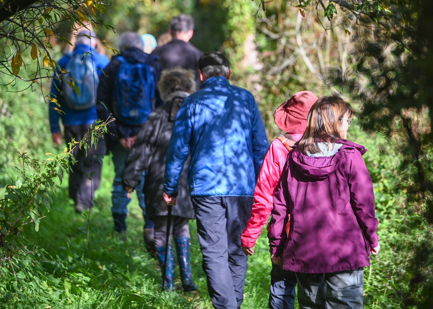 A group of people walk in a wooded area with dappled sunlight through the leaves.