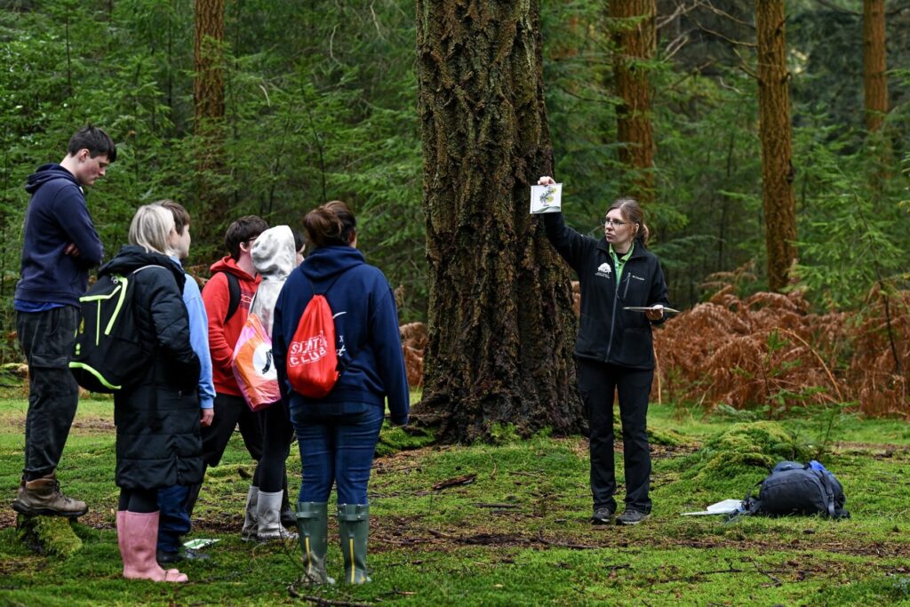 Guide holds up a plant ID card while a group of walkers listen in a forest clearing beside a large tree