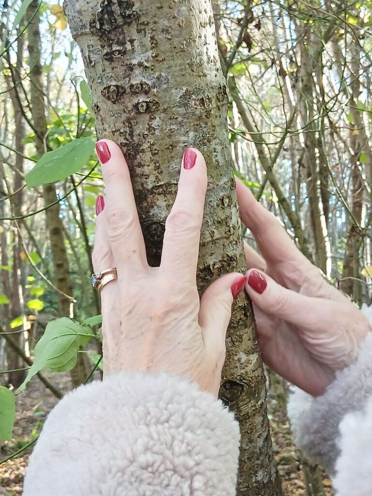 Hands touch a tree trunk in a green, leafy area.