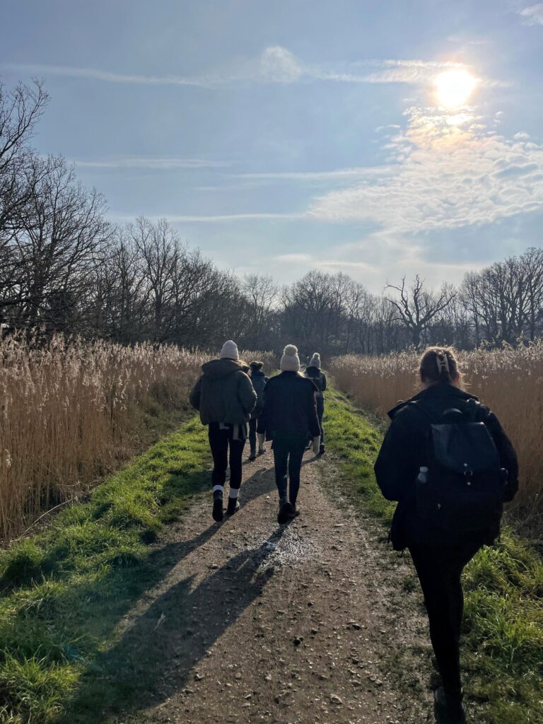 Five walkers on a path with grass verges and a soft sunny sky.