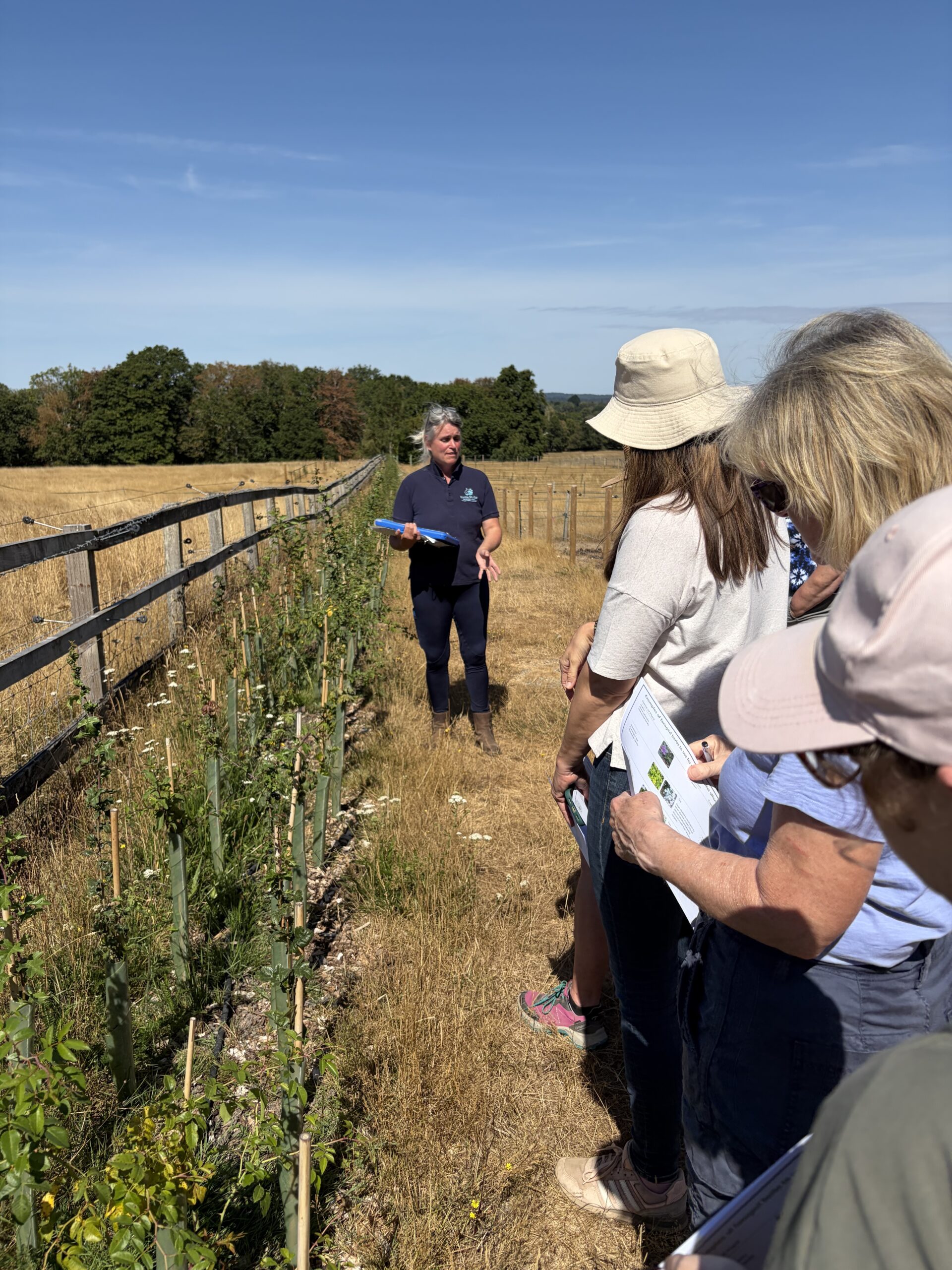 People stand by a fence in a green field listening to a person talk
