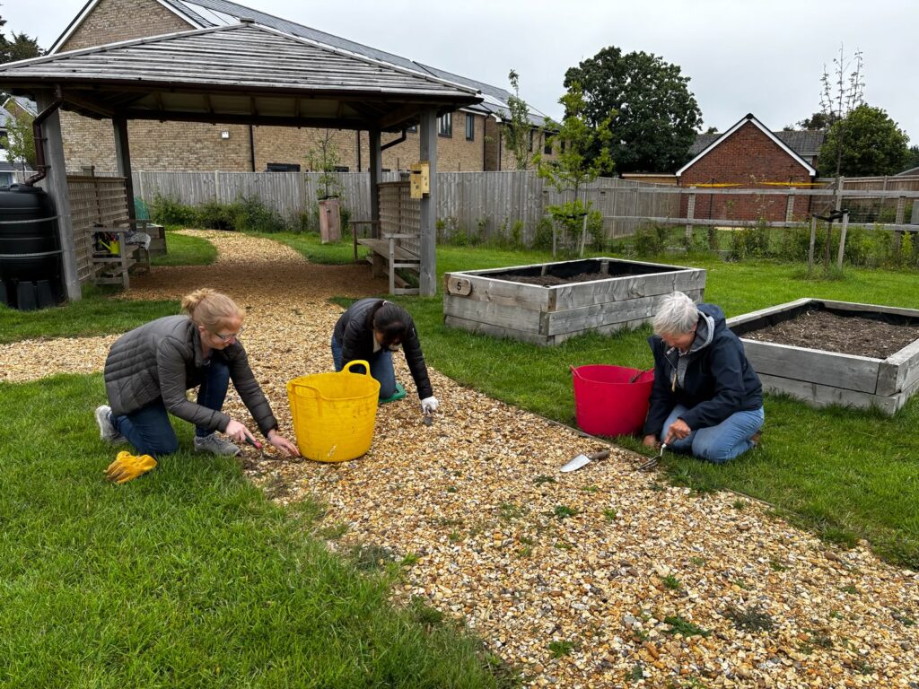 Volunteers gardening at New Milton Community Garden